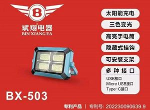 斌翔新款太阳能式投光灯防水防虫耐用超亮LED灯家用商用应急照明