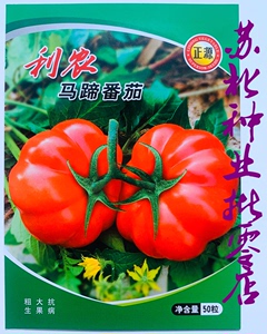 利农马蹄番茄种子新一代大红艳丽西红柿种子肉质细嫩甜味足