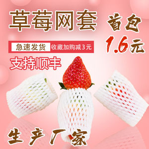 草莓套袋网袋水果网套防震保护套枇杷猕猴桃草莓泡沫网格袋网兜包