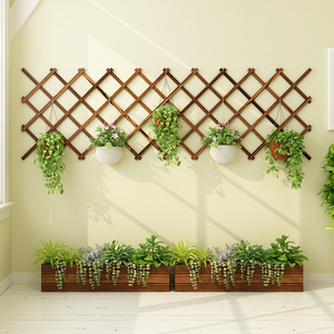 辈辈爱花架实木客厅盆栽架壁挂墙上阳台装饰布置绿萝悬挂式室内爬