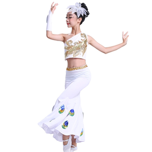 傣族服装女儿童孔雀舞蹈表演服女童鱼尾裙少儿民族肚皮舞演出服装