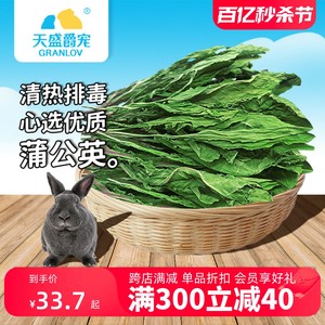 蒲公英干草烘干牧草龙猫豚鼠荷兰猪兔子清热去火食欲美毛辅保健草