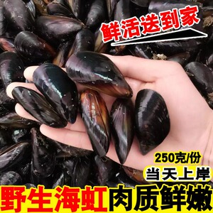 海鲜 鲜活淡菜新鲜海虹野生贻贝青口贝海珍海鲜水产贝类淡菜包邮