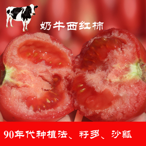 土特产美食特产有机西红柿新鲜农家5斤现摘现发自然熟番茄蔬菜