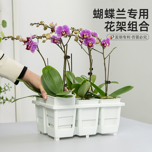 美莳蝴蝶兰专用花盆花架组合方形透气超陶瓷塑料套盆带托盘控根盆