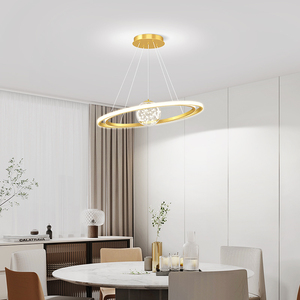 2024新款餐厅小吊灯餐桌客厅主卧室吸顶灯具创意个性艺术现代简约