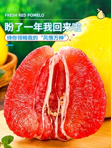 福建平和红心柚子10斤蜜柚新鲜水果当季整箱葡萄包邮三红肉叶琯溪
