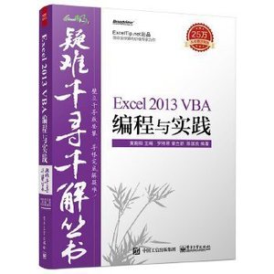 二手疑难千寻千解丛书Excel 2013 VBA编程与实践罗刚君办公软件书