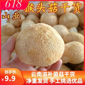 猴头菇干货 云南山珍特级精品猴头菇500克可打粉养胃煲汤食材家用