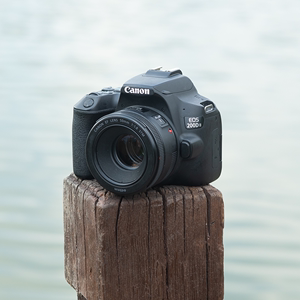 Canon/佳能 850D 800D 700D 750D 760D 200D 2 二代 二手单反相机
