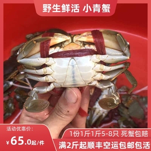 潮州海捕鲜活青蟹小青蟹鲜活海蟹锯缘青蟹蟹苗1份1斤5-8只2份包邮