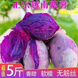 正宗越南珍珠小紫薯新鲜现挖红紫皮番薯地瓜婴儿孕妇红薯批发包邮