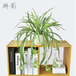 仿真绿植盆栽吊兰植物塑料假花吊兰客厅摆放摆件装饰套装新品特价