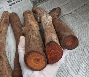 老挝大红酸枝弹弓料 红木小料 练手雕刻木料 刀柄料 对眼 珠子料