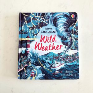 自然天气 英文绘本 Wild Weather 了解自然灾害 儿童启蒙翻翻书