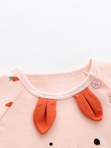 女婴儿两件套洋气九个月女宝宝春装公主夏季空调服套装纯棉一岁半