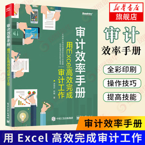 审计效率手册-用Excel高效完成审计工作 审计效率工具 详解如何利用excel组合工具审计效率 微软Office书籍