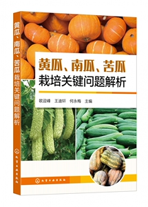 栽培南瓜 淘宝拼多多热销栽培南瓜货源拿货 阿里巴巴货源