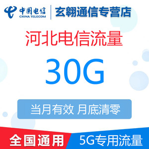 河北电信流量充值30G中国电信月包5G网络专用流量包当月有效