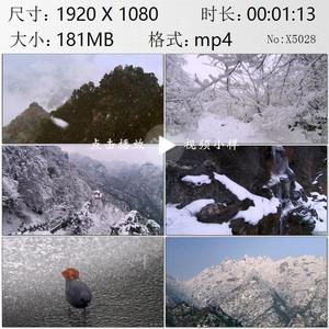 武当山雪景 冬天冬景 山中暴雪 雪压枝头 天柱峰实拍视频素材
