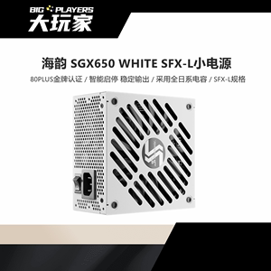 海韵SEASONIC FOCUS SGX 650W SFX-L小电源 静音金牌全模十年质保