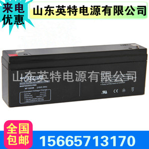 NEUTON POWER进口蓄电池NP122312v2.3 免维护铅酸蓄电池 12v2.3ah