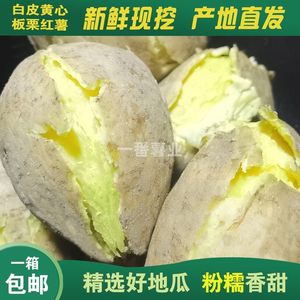 【现挖现发】潮汕农家板栗红薯粉糯甜香板栗薯白皮黄心鸡蛋黄地瓜