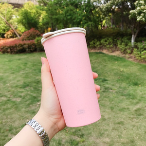 韩版简约麦秸秆料随手杯日本韩国女学生双层咖啡奶茶环保塑料杯子