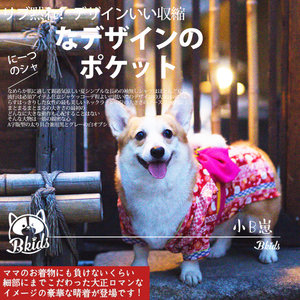 小B崽 包邮特惠限量日本宠物和服超美美丽花姑娘柯基柴犬衣服
