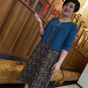 2022秋季新品中年女士韩版假两件连衣裙洋气妈妈装中长款显瘦裙子