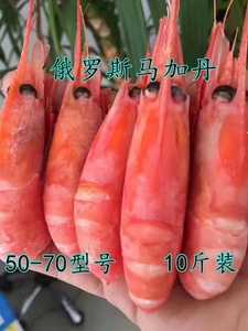 俄罗斯深海野生马加丹冰虾北极甜虾熟冻即食海鲜50–70 10斤