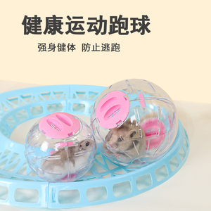 仓鼠跑球跑轮金丝熊跑步运动滚球滚轮造景玩具用品大全遛鼠外带笼