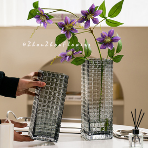 现代简约创意方形透明大号玻璃花瓶水养鲜花客厅桌面居家装饰摆件