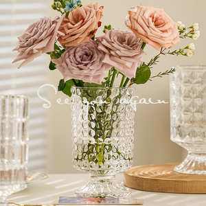 高级感简约创意ins风透明花瓶玻璃插花水培鲜花花器客厅餐桌摆件