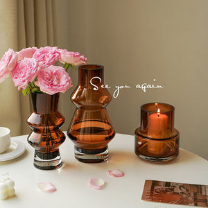 高级感ins风花瓶轻奢摆件设计感玻璃花器鲜花插花客厅桌面装饰品