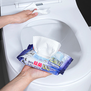 日本进口马桶清洁湿巾消毒除菌卫生间擦坐便圈厕所酒精擦纸湿纸巾