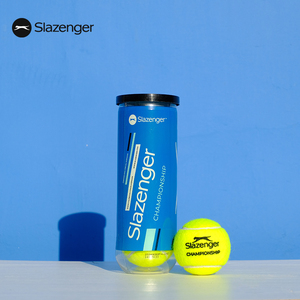 Slazenger史莱辛格 胶罐网球温网高弹性比赛用球练习球24升级款