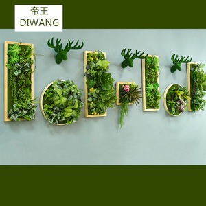 仿真植物壁挂绿植创意家居墙面墙上装饰品挂件客厅背景墙相框壁饰