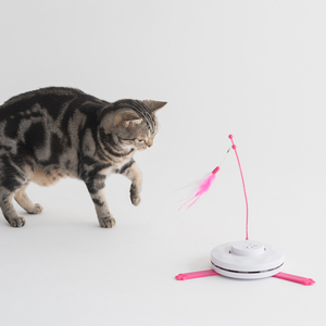 逗猫老鼠玩具电动猫玩具逗猫棒逗猫不倒翁多功能电动进口猫抓盘