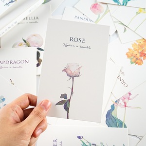 创意精致盒装明信片卡片 米拉贝尔花园 手绘水彩植物花卉背景装饰道具生日礼物贺卡