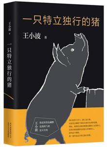 正版二手一只特立独行的猪王小波北京十月文艺出版社9787530216