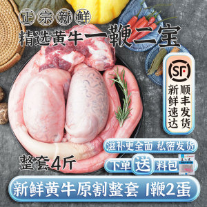 牛鞭新鲜全套牛蛋牛宝现杀正宗黄牛4斤冷冻煲汤养生食品