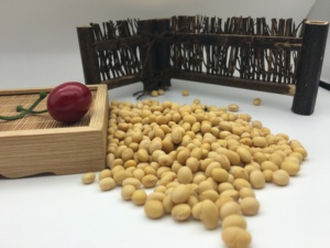 农家黄豆种子散装优质高产大豆发豆芽打豆浆专用黄豆自种自产杂粮