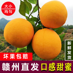 橙子赣南脐橙新鲜10斤江西橙当季产地直发20斤装南方3月应季水果