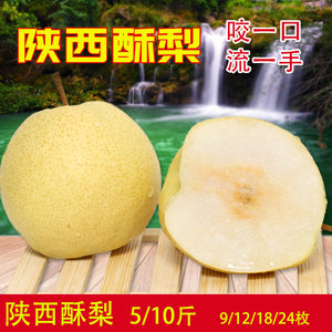 【庄南子】陕西礼泉酥梨梨子孕妇水果特产5/10斤
