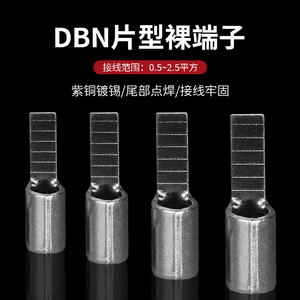 紫铜焊口DBN1.25-10 2-10针型冷压接线端子片形插针扁裸端头线耳