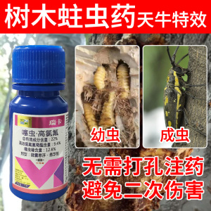 天牛专用药天牛克星特效药桃树荔枝树果树李子树苹果树梨树