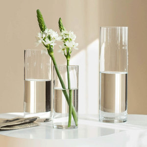 特大号花瓶简约玻璃透明落地摆件客厅餐桌水竹富贵竹干花插花水养