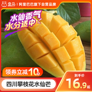 盒马四川攀枝花水仙芒果新鲜水果整箱包邮当季热带水果需要催熟