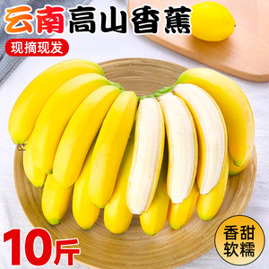 高山甜香蕉新鲜水果10斤当季现摘芭蕉小米蕉大香焦绿批发整箱包邮